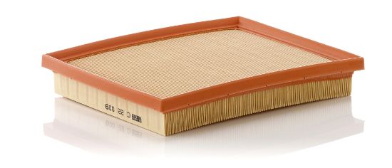 Obrázok Vzduchový filter MANN-FILTER  C22009