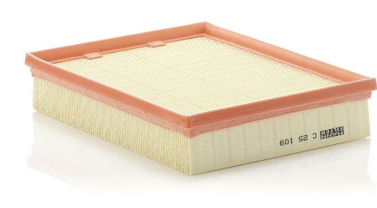 Obrázok Vzduchový filter MANN-FILTER  C25109