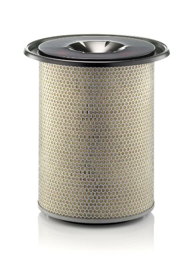 Obrázok Vzduchový filter MANN-FILTER  C301184