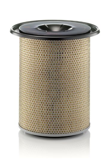 Obrázok Vzduchový filter MANN-FILTER  C301185