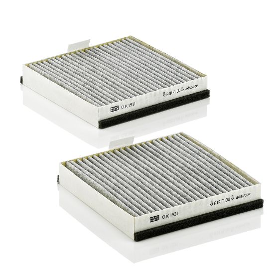 Obrázok Filter sekundárneho vzduchu MANN-FILTER  CF6003x