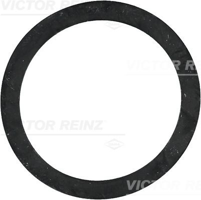 Obrázok Tesniaci krúżok VICTOR REINZ  407724300