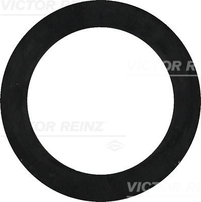Obrázok Tesniaci krúżok VICTOR REINZ  407732200