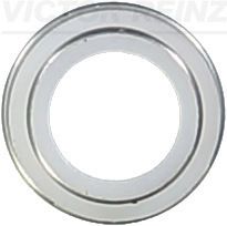 Obrázok Tesniaci krúżok drieku ventilu VICTOR REINZ  702306200