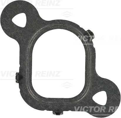 Obrázok Tesnenie kolena sac. potrubia VICTOR REINZ  713753800