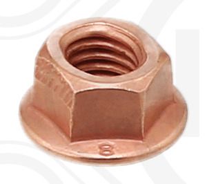 Obrázok Matica ELRING  247130