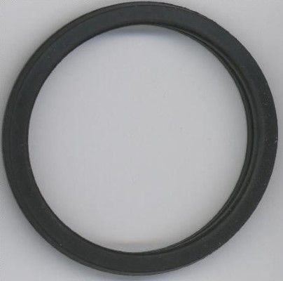 Obrázok Tesnenie termostatu ELRING  027450