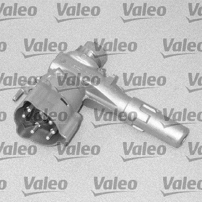 Obrázok Puzdro/obal vlożky zámku VALEO  256491