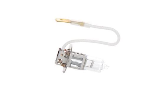 Obrázok żiarovka BOSCH Trucklight 1987302431
