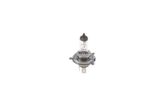 Obrázok żiarovka BOSCH Trucklight Maxlife 1987302742