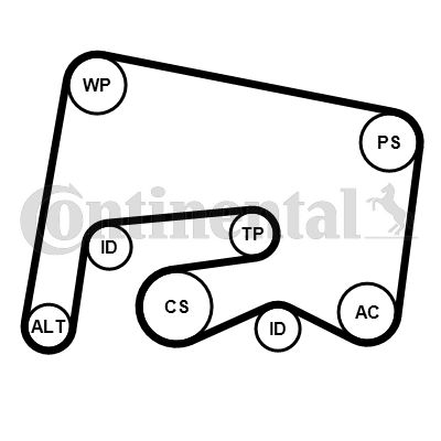 Obrázok Ozubený klinový remeň - Sada CONTINENTAL CTAM  6PK2155K1