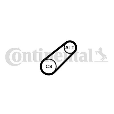 Obrázok Ozubený klinový remeň - Sada CONTINENTAL CTAM  6PK701ELASTT1