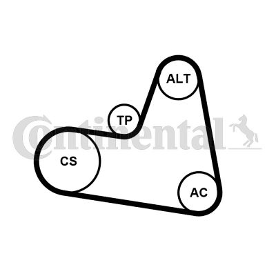 Obrázok Ozubený klinový remeň - Sada CONTINENTAL CTAM  6PK962K1