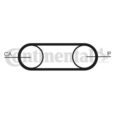 Obrázok Ozubený remeň CONTINENTAL CTAM  CT541