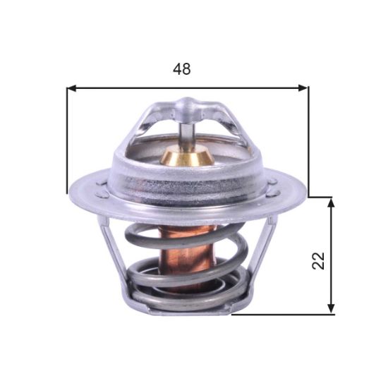 Obrázok Termostat chladenia GATES  TH00391G1