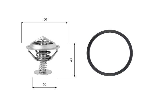 Obrázok Termostat chladenia GATES  TH05377G1