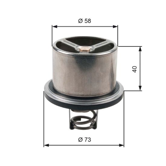Obrázok Termostat chladenia GATES  TH07882