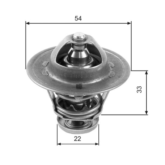 Obrázok Termostat chladenia GATES  TH22285G1