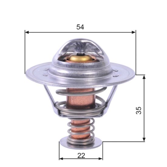 Obrázok Termostat chladenia GATES  TH22689G1