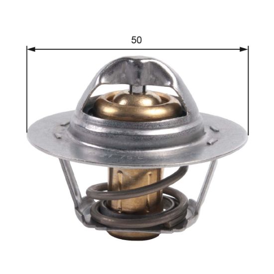 Obrázok Termostat chladenia GATES  TH45975G1
