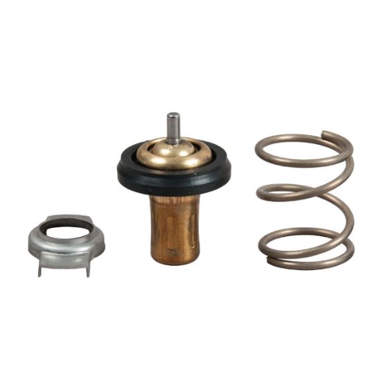 Obrázok Termostat chladenia GATES  TH49288G1
