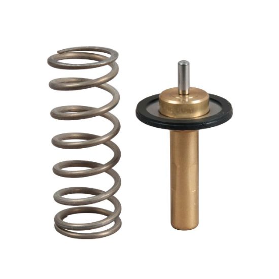 Obrázok Termostat chladenia GATES  TH51690G1