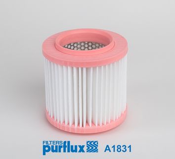 Obrázok Vzduchový filter PURFLUX  A1831