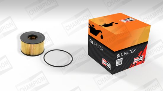 Obrázok Zapaľovacia sviečka CHAMPION Igniter Industrial CCH1263