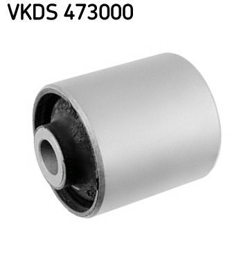 Obrázok Teleso nápravy SKF  VKDS473000