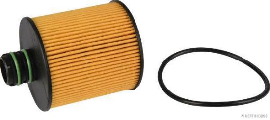 Obrázok Olejový filter HERTH+BUSS JAKOPARTS  J1318014