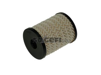 Obrázok Palivový filter FRAM  C10039ECO