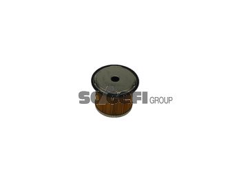 Obrázok Palivový filter FRAM  C5563