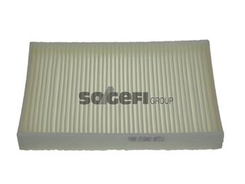 Obrázok Filter vnútorného priestoru FRAM  CF10442