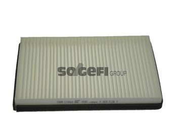Obrázok Filter vnútorného priestoru FRAM  CF8868