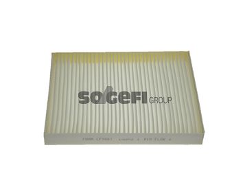 Obrázok Filter vnútorného priestoru FRAM  CF9881