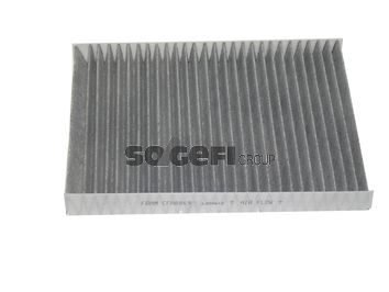 Obrázok Filter vnútorného priestoru FRAM  CFA8869