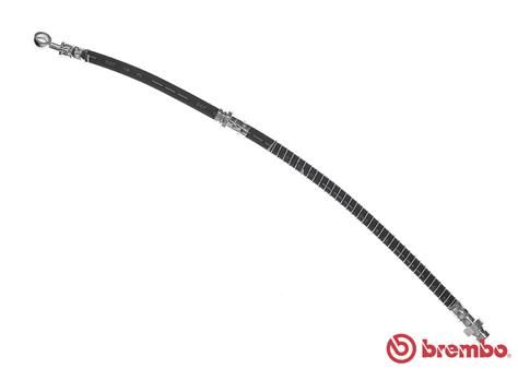 Obrázok Brzdová hadica BREMBO  T30091