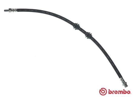 Obrázok Brzdová hadica BREMBO  T44033