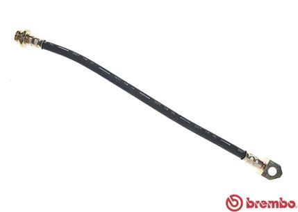 Obrázok Brzdová hadica BREMBO  T56076