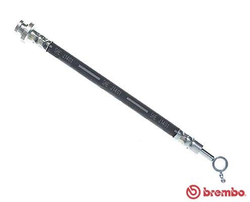 Obrázok Brzdová hadica BREMBO  T56161