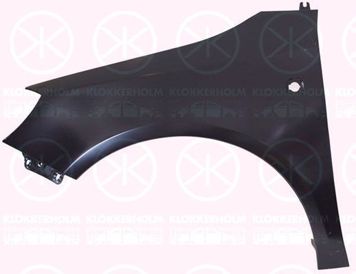 Obrázok Blatník KLOKKERHOLM  7515311