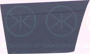 Obrázok Dvere, karoseria KLOKKERHOLM  9557122