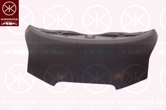 Obrázok Kapota motora KLOKKERHOLM  1659280A1