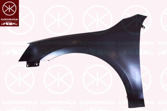 Obrázok Blatník KLOKKERHOLM  7522313
