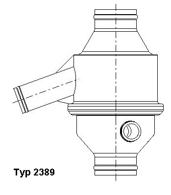 Obrázok Termostat chladenia BorgWarner (Wahler)  2389751