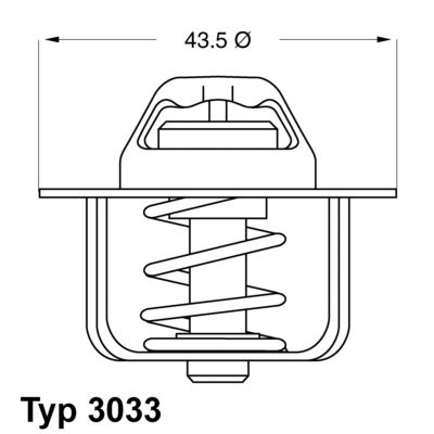 Obrázok Termostat chladenia BorgWarner (Wahler)  303378