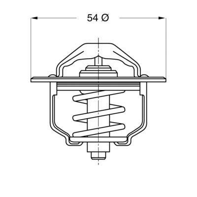 Obrázok Termostat chladenia BorgWarner (Wahler)  310379