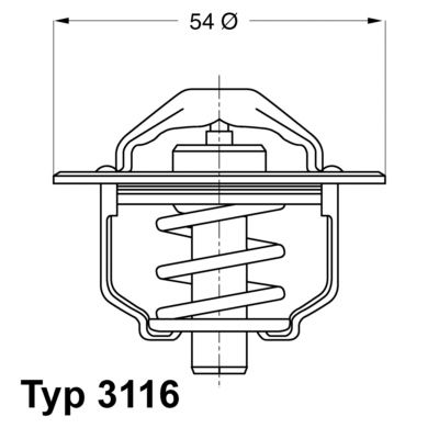Obrázok Termostat chladenia BorgWarner (Wahler)  311682D