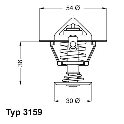 Obrázok Termostat chladenia BorgWarner (Wahler)  315982D