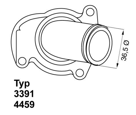 Obrázok Termostat chladenia BorgWarner (Wahler)  339192D